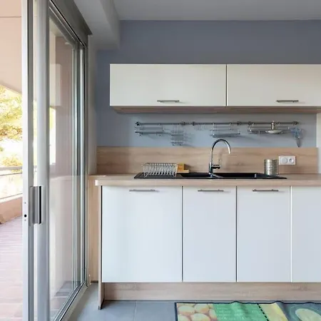 Absea Belles Terres 公寓 尼斯