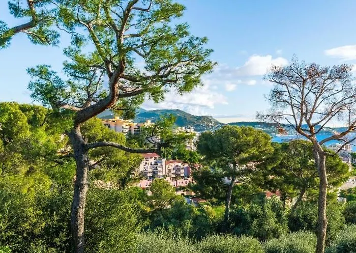 Absea Belles Terres Nice